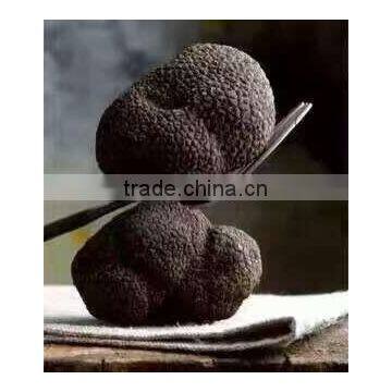 Frozen Truffle photo-2