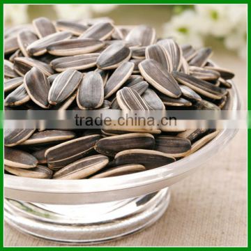 Spiced Sunflower Seeds 363 With Best Quality For Sale