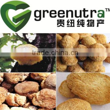 Hericium erinaceus extract/Monkey head mushroom extract