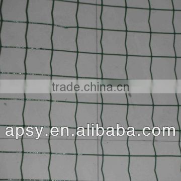 Holland electric welded wire mesh/manufacturer/hometown wire mesh