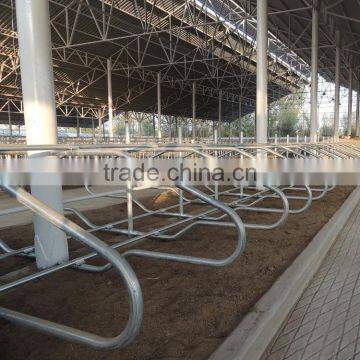 Dairy Cow Farm Equipment Cow Free Stall