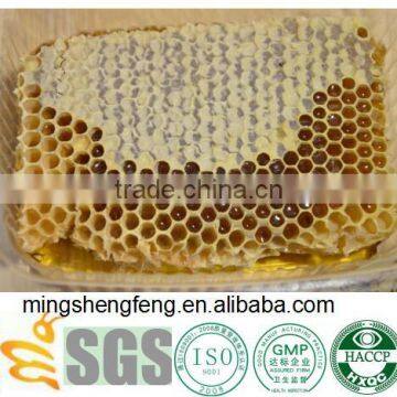Best Natural Honey Comb With Plastic Box/ Pure Honey Bee Edible/ Raw Agricultural Suppliers photo-2
