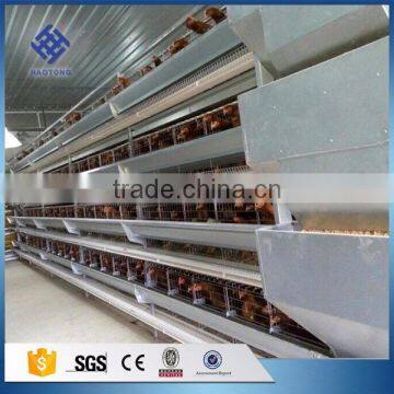 30 Years' Factory Supply Automatic Chicken Broiler Cages photo-6