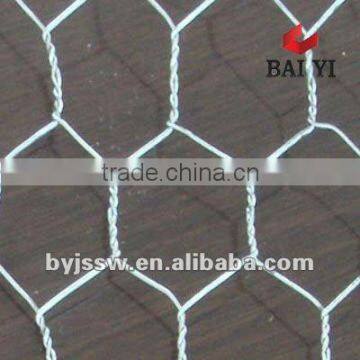 Stainless Steel or Galvanized Pheasant Netting