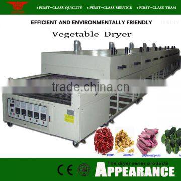 Nanyang Brand Latest and Cleaning Hot Air Continuous Mesh Belt Dry Fruit Machine