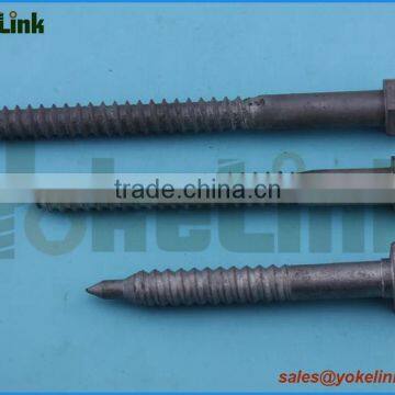 Hot Dip Galvanized Regular Lag Screw photo-4