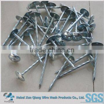 4" galvanized roofing nails with washer