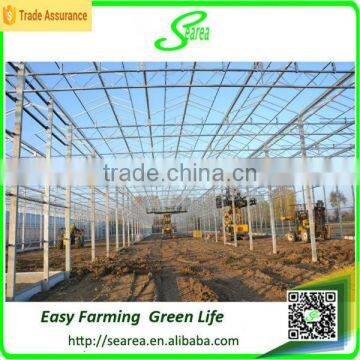 Quickly Delivery Structure Greenhouse for Sale Green House photo-4