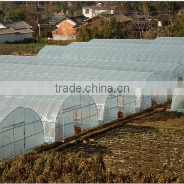 Plastic film greenhosue for agricultural price