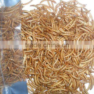 Eco-friendly Animal Feed Dehydrated Mealworm Bird food