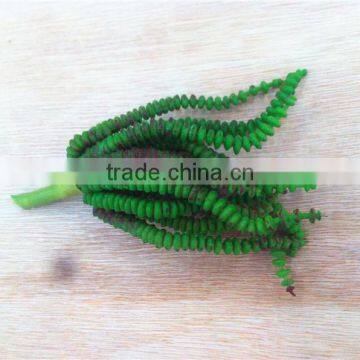 Home and Outdoor Garden Edging Christmas Decoration 60cm or 24inches Height Artificial Small Grass for Green Wall E04 1043 photo-6