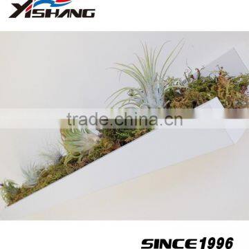 Wholesale Plant Pot Metal Living Room Wall Decor photo-2