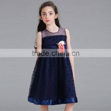 Wholesale Summer Dress Toddler Dresses Fancy Dresses for Baby Girl#l1830 photo-6