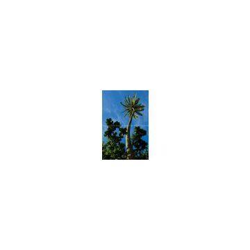 Coconut Tree Tower photo-3