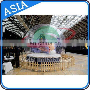 New Charming Inflatable Show Ball for Exhibition