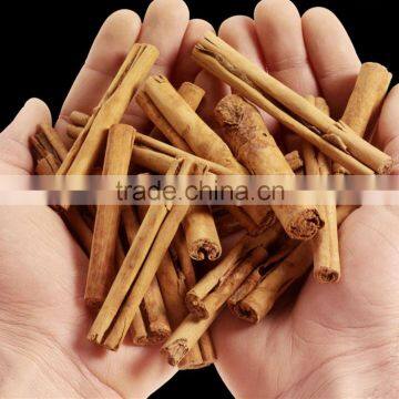 Top High Quality Chinese Cinnamon/Cassia