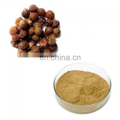 Factory Supply Sapindus Mukorossi Extract Soap Nut