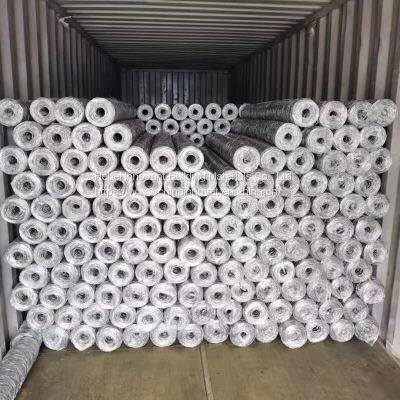Galvanized Hexagonal Wire Netting Chicken Wire Mesh
