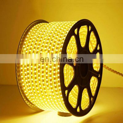 Waterproof 5050 5730 Smd 220v 100m Room Smart Flexible Lamp Led Strip Light