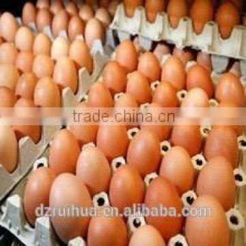 30 holes egg trays