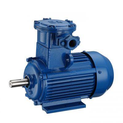 explosion-proof motor