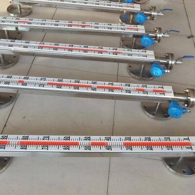 Magnetic Level Guage