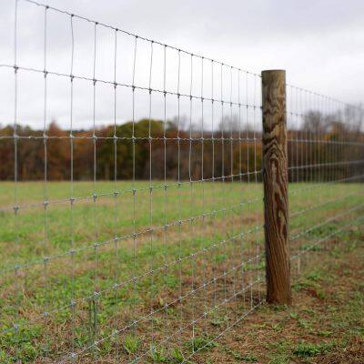 High Tensile Wire Galvanized Farm Fencing Field Fence Made in China photo-5