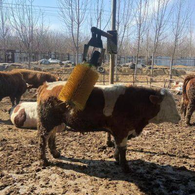 Pincel para vacas oscilante eléctrico de alta calidad, rascador para ganado