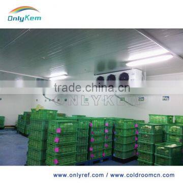 fruit and vegetable cold room , sandwich panel cold room , mini cold storage                        
                                                Quality Choice
                                                                    Supplier's Choice