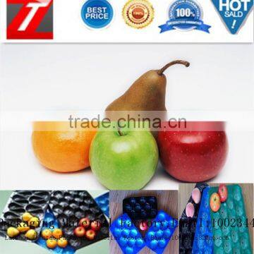 Biodegradable Plastic Thermoforming Fruit Packaging Tray photo-4
