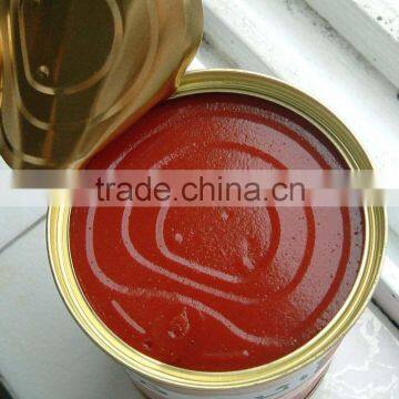 Tinned and Plastic Packed Canned Tomato Paste photo-2