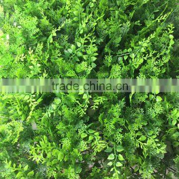 Hot sale plastic boxwood grass carpet,plstic leaf fence for decoration