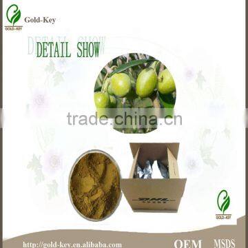 Hot Selling Olive Leaf Extract in Herbal Extract photo-3