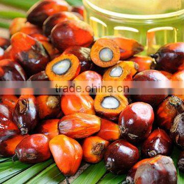 Refined Palm Oil