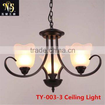 2016 hot sale Flower Patterned Glass chandelier iron light for dining room for home or Coffee House
