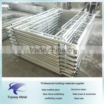 Tubular Frame Scaffold photo-3