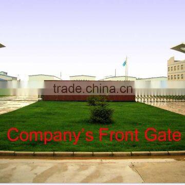 Garlic Oil Softgel photo-2