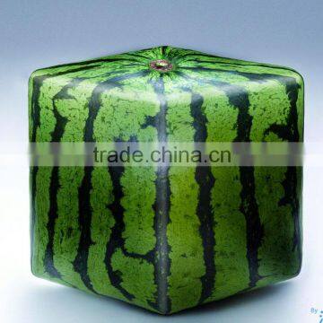 Large Watermelon Mold Square Shape