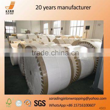 Raw Material Unique Serving Paper Dish Plate Holer