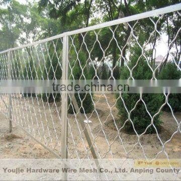 diamond wire mesh (20 years manufacturer)