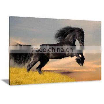 Black Horse Animal Decor Printed Canvas Art For Livingroom DWYS22