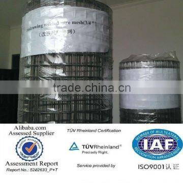 TUV certification galvanized welded wire mesh