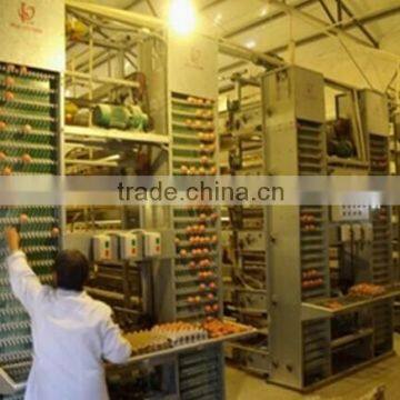 chicken egg layer cages