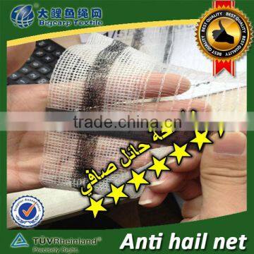 Yemen used anti hail net / 30102-50