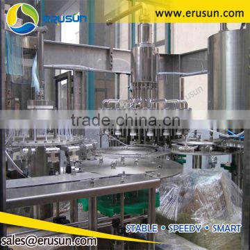 Best price RHFC16-12-6 Fruit Juice Filling Machine