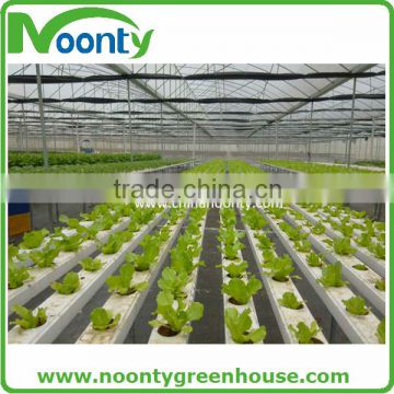 Hydroponics Greenhouse