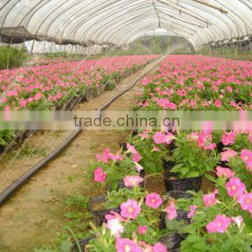 32 mm Ground sprinkler hose PE Lay Flat Hose for Irrigation