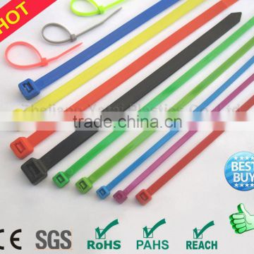 Plastic Cable Tie (CE,ROHS,PAHS,REACH,SGS,ISO9001)