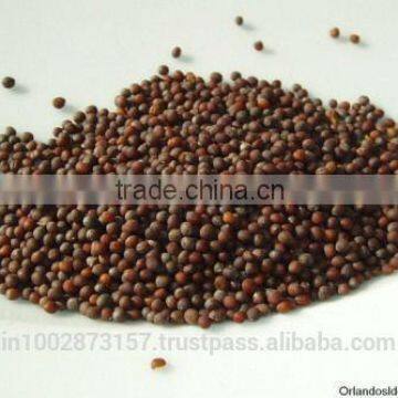 Mustard seeds