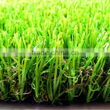 natural grass turf